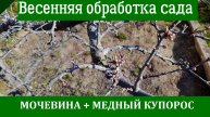 Чем обработать сад весной? Первая обработка сада мочевиной и медным купоросом