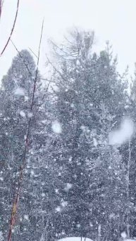 Снежный апрель