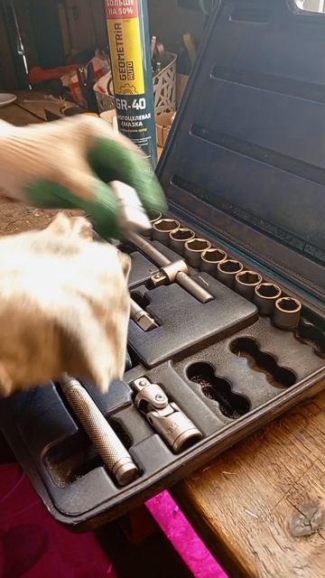 Что лучше?