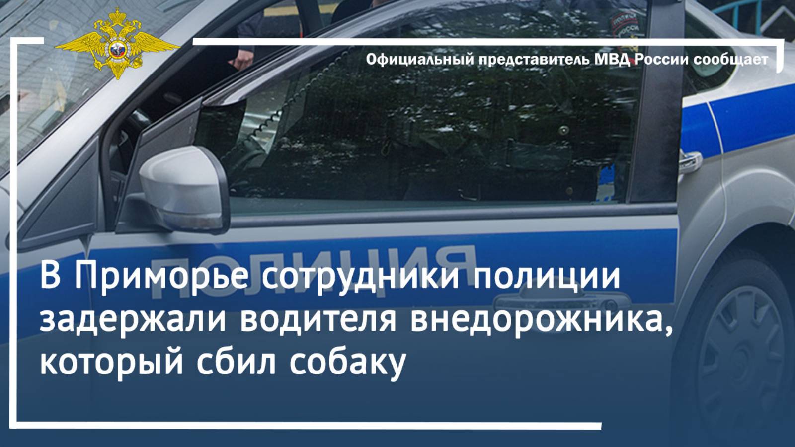 В Приморье сотрудники полиции задержали водителя внедорожника, который сбил собаку