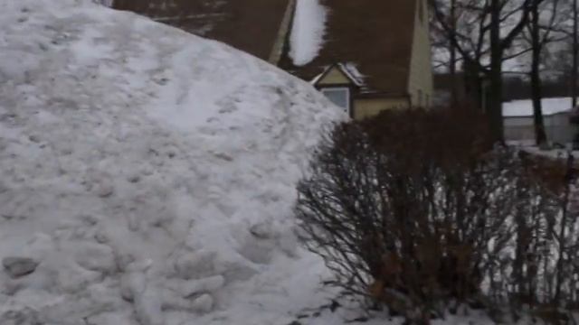 Igloo House