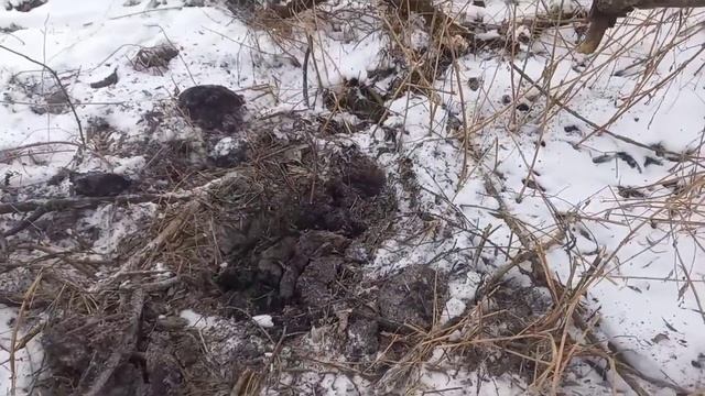 КоП металла за пределом области!!!