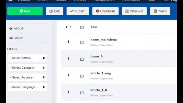 Converting a unilingual site into a bilingual site using  helix utlimate