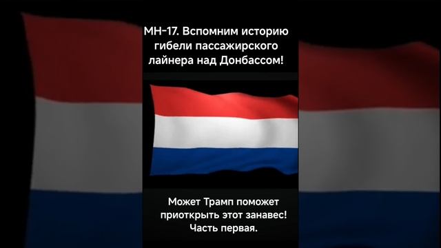 МН- 17 Трагическая гибель лайнера до сих пор не раскрыта.Свидетей нет;- или умерли,или исчезли?