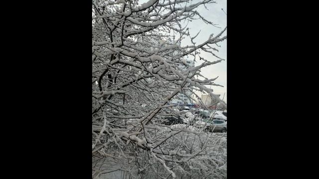 Снежный апрель 25-го