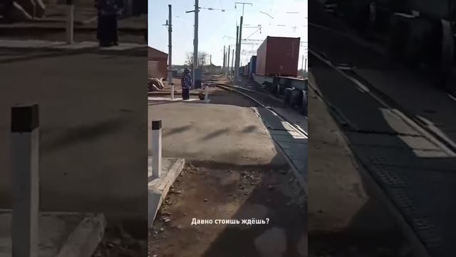 Лесозаводск в тисках железной дороги: жители рискуют жизнью, пробираясь под вагонами