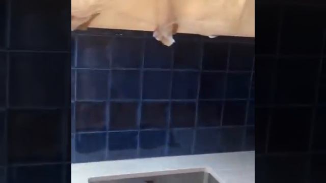 Отзыв о работе мастера Артура
