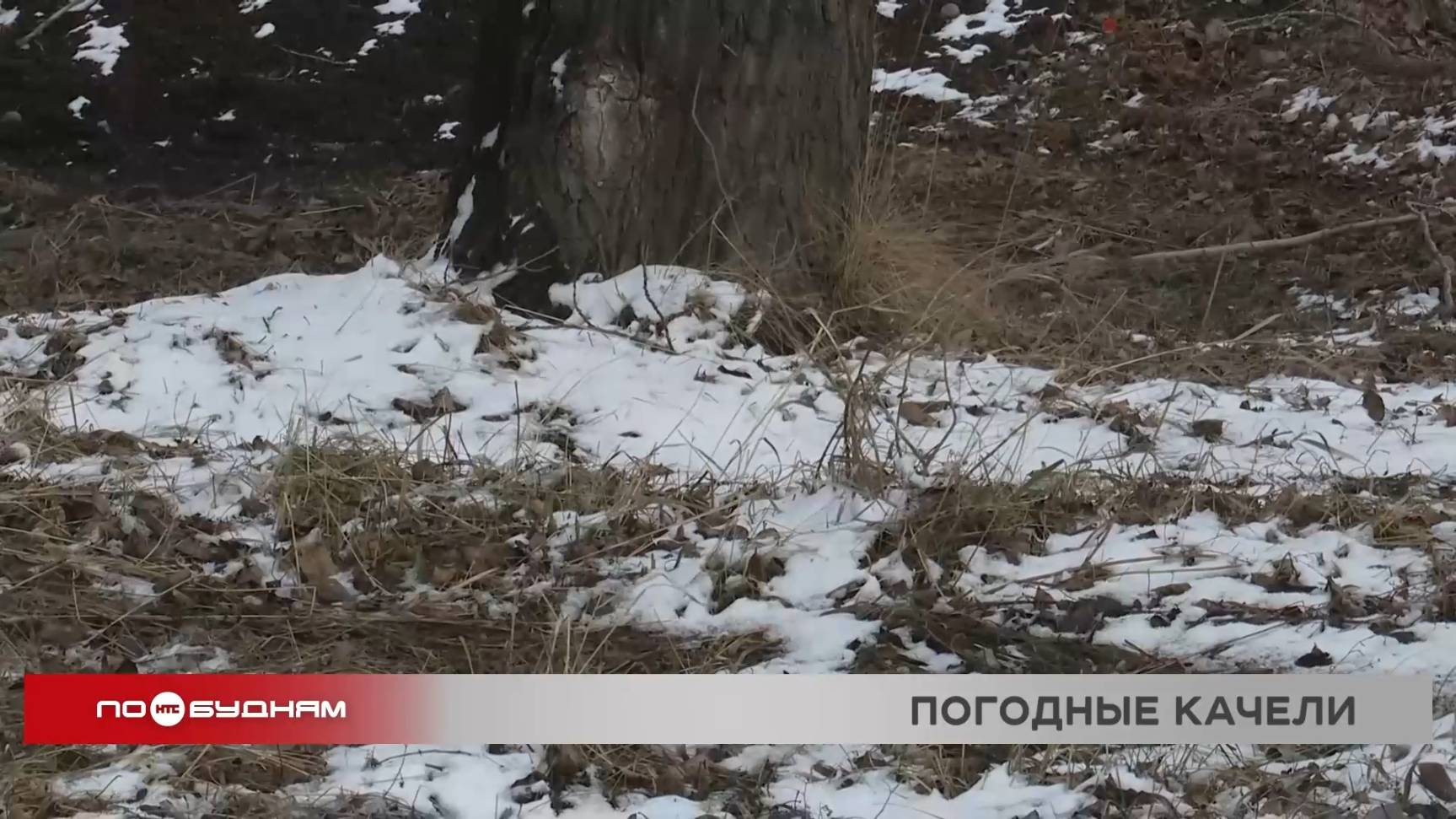 Снегопад ожидается в Иркутской области в предстоящие выходные