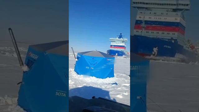 Лысый все проспал...