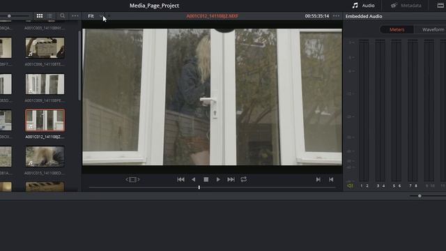 DaVinci Resolve 12 - 12 Media Page Interface