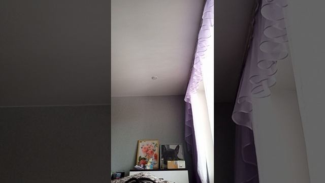 ем кучу фастфуда