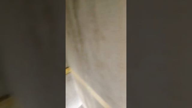 131 сип панельный дом