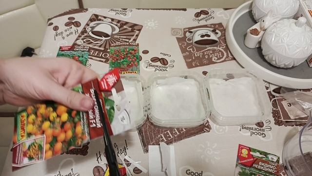 Проращиваем помидоры__готовим кушать__покупки продуктов