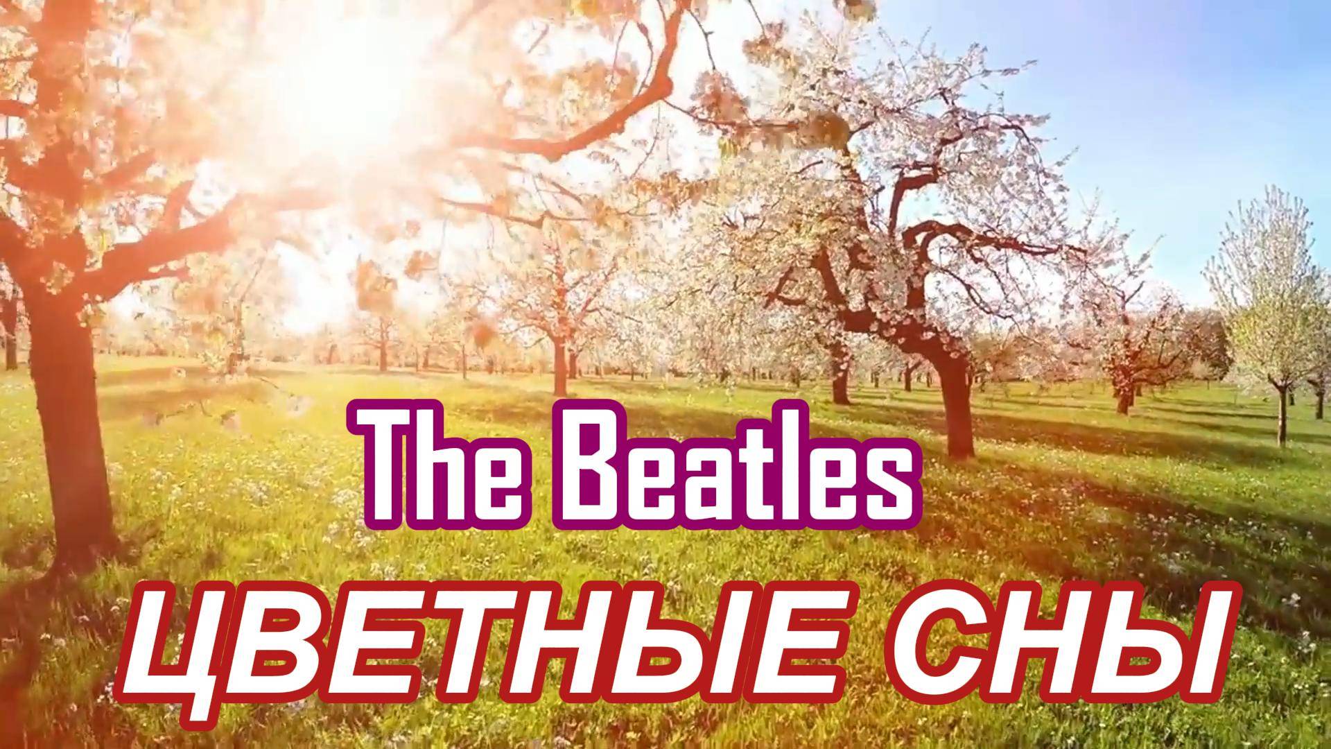 ЦВЕТНЫЕ СНЫ