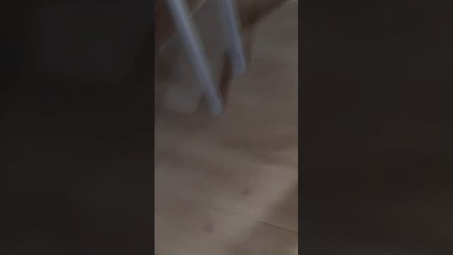 Наша собачка Луна (ударение на у) и котик Марсик