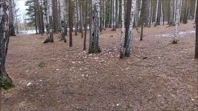Санаторий Ленёвка.