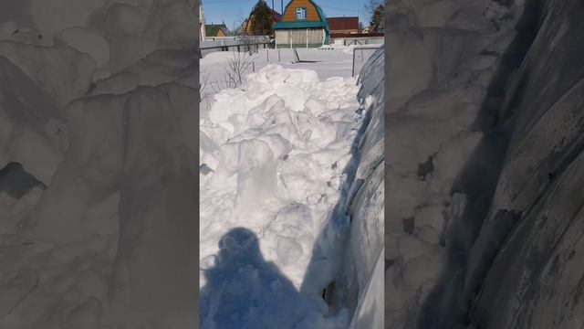 Апрель в тайге. Весна