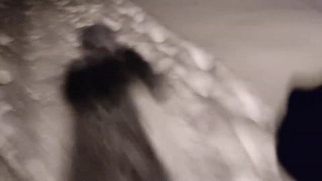 Вечерний скандипроменад в московском  парке Яуза