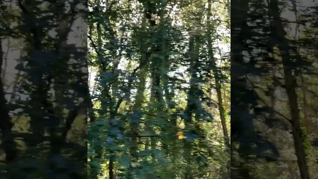 Пешим маршрутом в Абрау Дюрсо