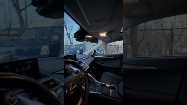 Привезли под заказ из Китая Lexus NX300h 2021 год