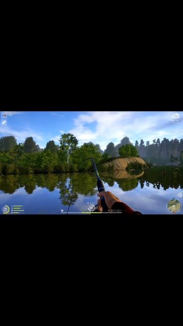 Поклевка носаря РР4 #fishing #shorts