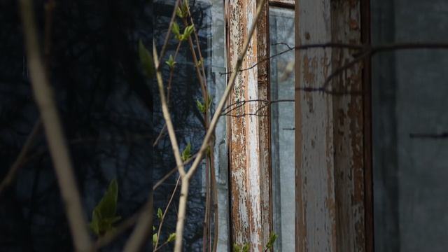 Старая больница в селе Пионерское, Крым.mp4