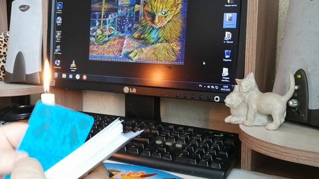 Двери котокафе открыты для любителей кошек и гаданий на картах |ТАРО