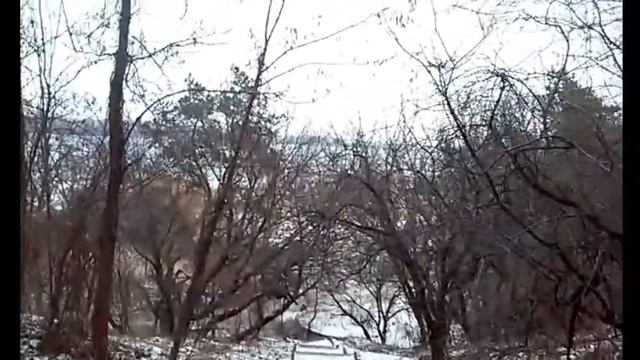 Зимова прогулянка в парку Сосновий бір. Україна місто Черкаси.