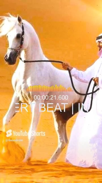 Arabian Horse - DESERT BEAT | INSTRUMENTAL MUSIC