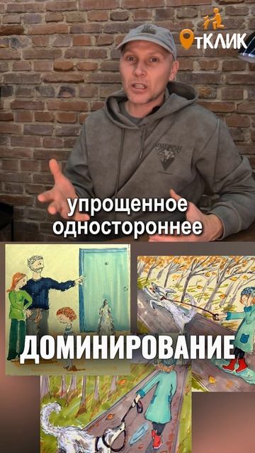 Кто главный на прогулке
