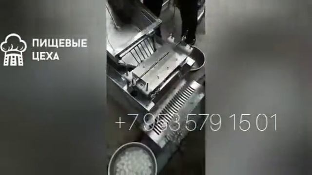 Машинка для механической очистки перепелиных яиц