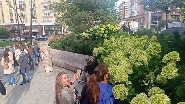 video_2025-04-12_00-26-20