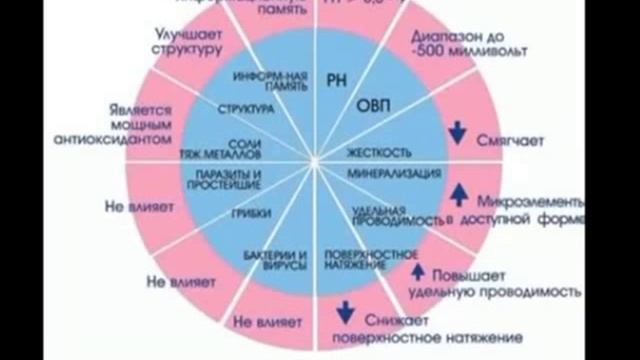 Ольга Бутакова. 12 свойств воды