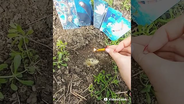 РИТУАЛ ЧИСТКА ОТ НЕГАТИВА НА ПРИРОДЕ СИЛА СТИХИЙ И ПОМОЩЬ РОДА!