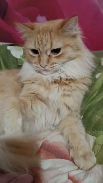 Кусь-кусь 😸💕