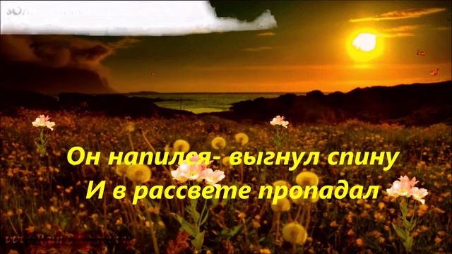 конь чекан