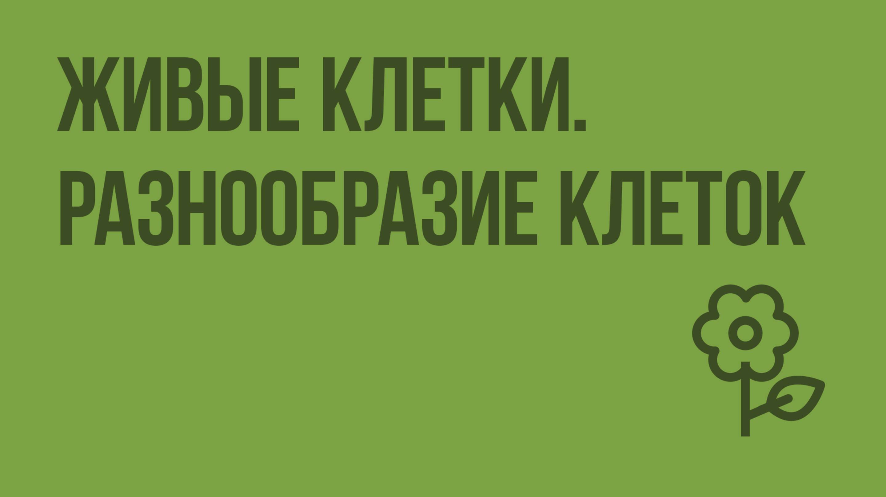 Живые клетки. Разнообразие клеток. Видеоурок по природоведению 5 класс