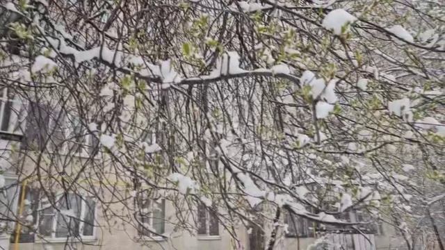 Апрельская зима  стихи и монтаж Елена Павлова, музыка Татьяна Сорокина