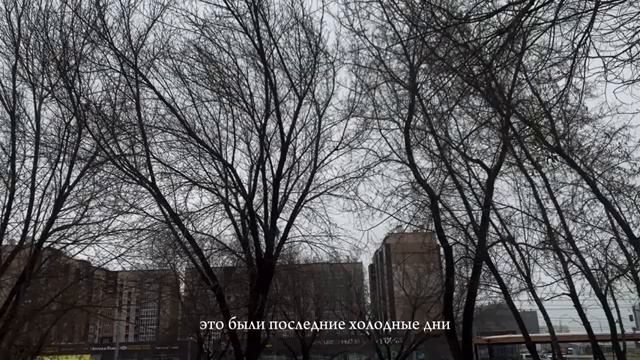 тихая жизнь в одиночестве  утренняя рутина, увольнение, повседневность  домашний влог.mp4