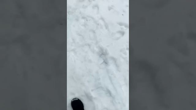со шк
