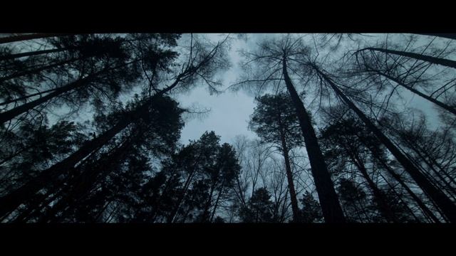 Весенняя мелодия