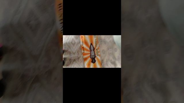 Мечи моего папы