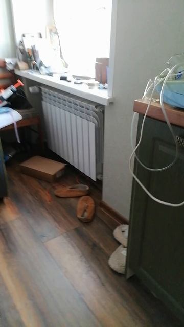 пропал Васильич 1#😞