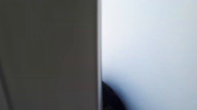 мои цветочки