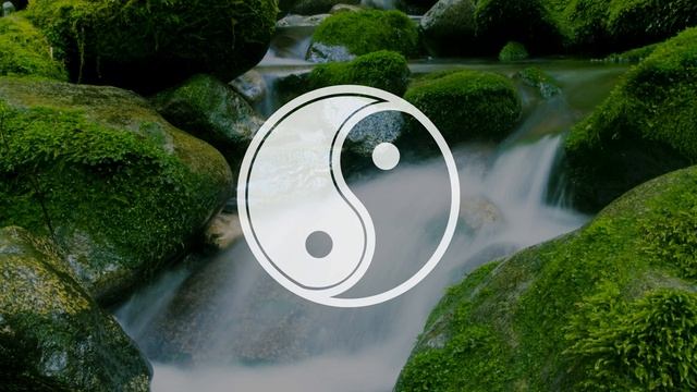 Tao Te Ching 48