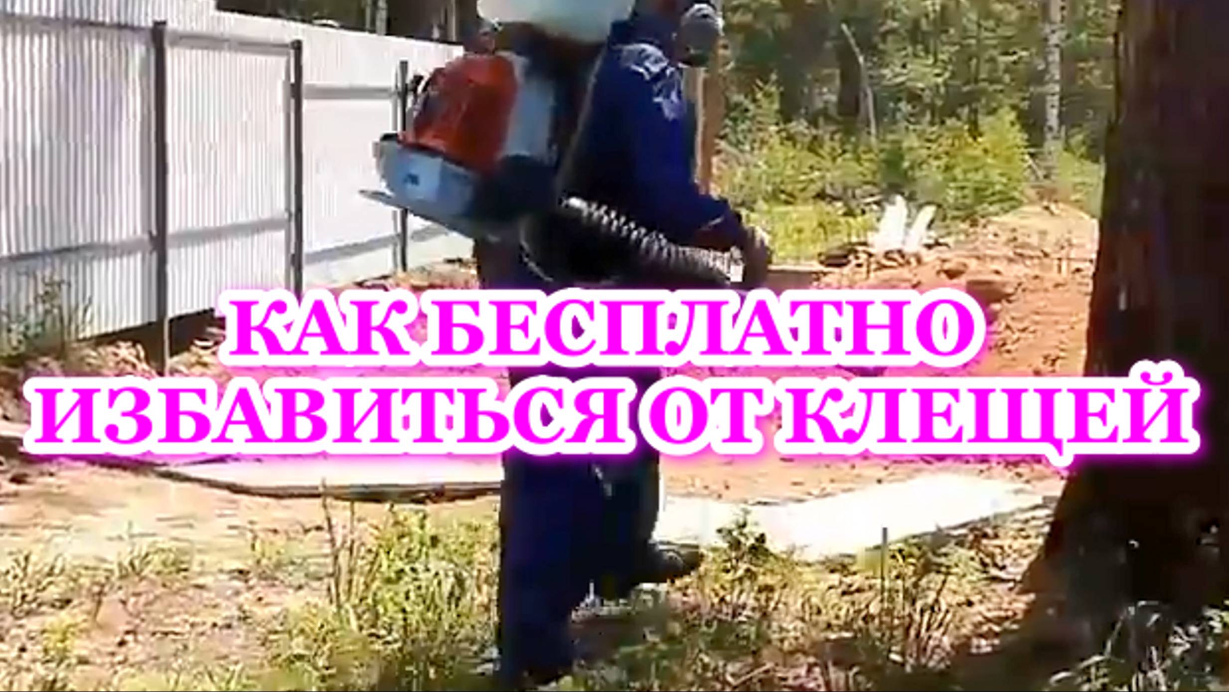 Как_бесплатно_самостоятельно_избавиться_от_клещей_на_участке