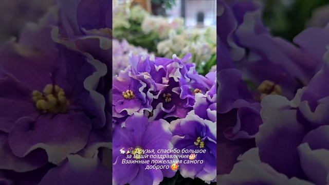 🐇🎉 Друзья, спасибо большое за Ваши поздравления🎂! 
Взаимные пожелания самого доброго 🥰!