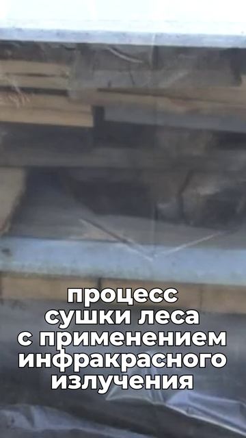Укладывал доски корытами. что из этого получилось?  Сушка слэбов кассетной сушилкой ФлексиХИТ!