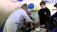 Фестиваль здоровья и спорта - 2025