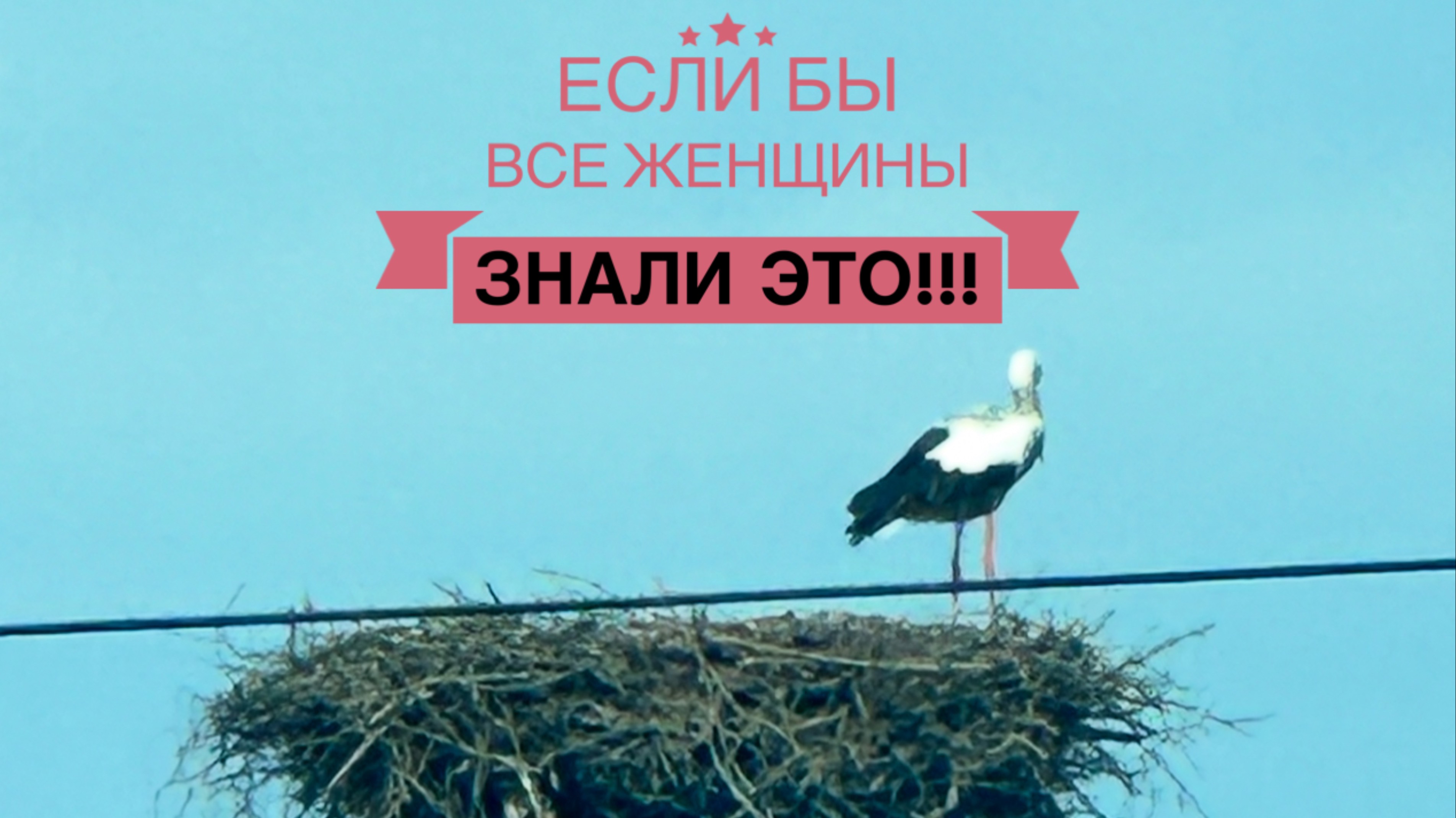 Если бы все женщины, знали бы это!